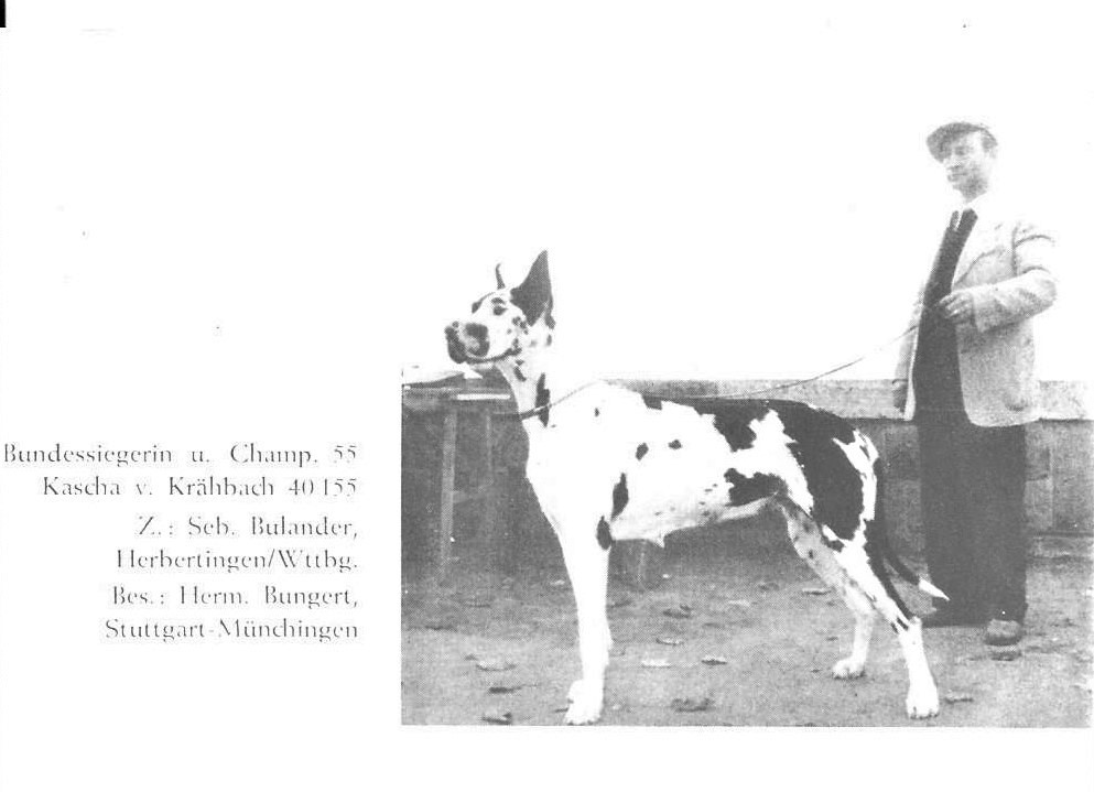 Kascha v Krahbach
